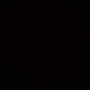 Meet your Posher, Bobby